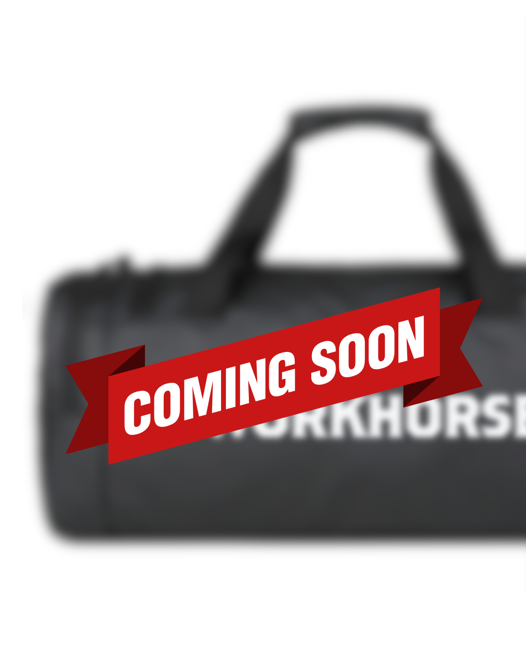 Workhorse Gym Bag